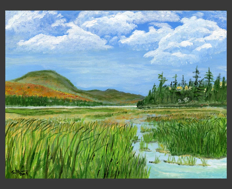 Into the Reeds — Cedar River Flow