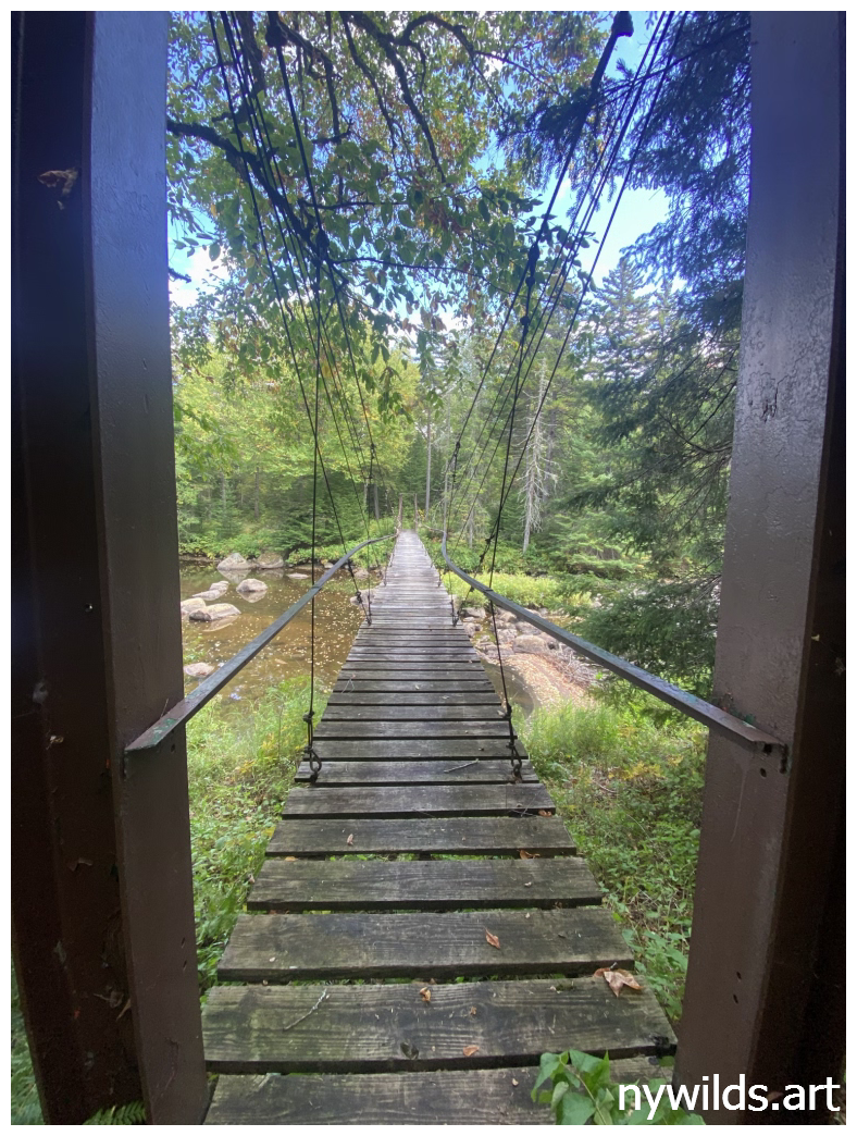 The suspension bridge crossing the Sacandaga River in the Siamese Ponds Wilderness