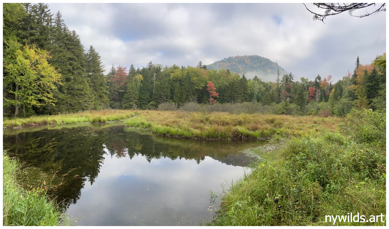 A feeder stream opening toward a notched hill above the river corridor.