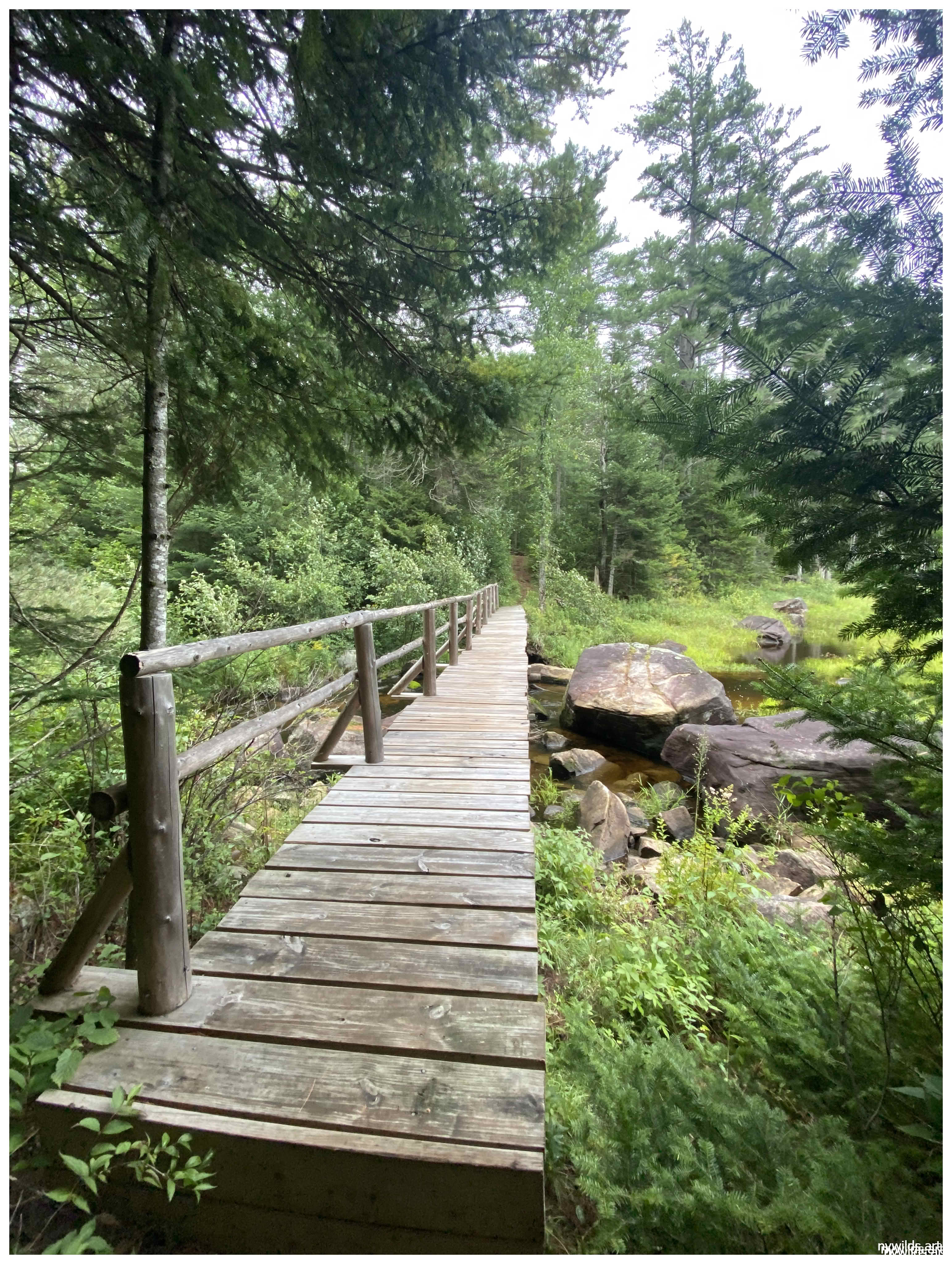 First foot bridge as we enter the Siamese Ponds Wilderness.