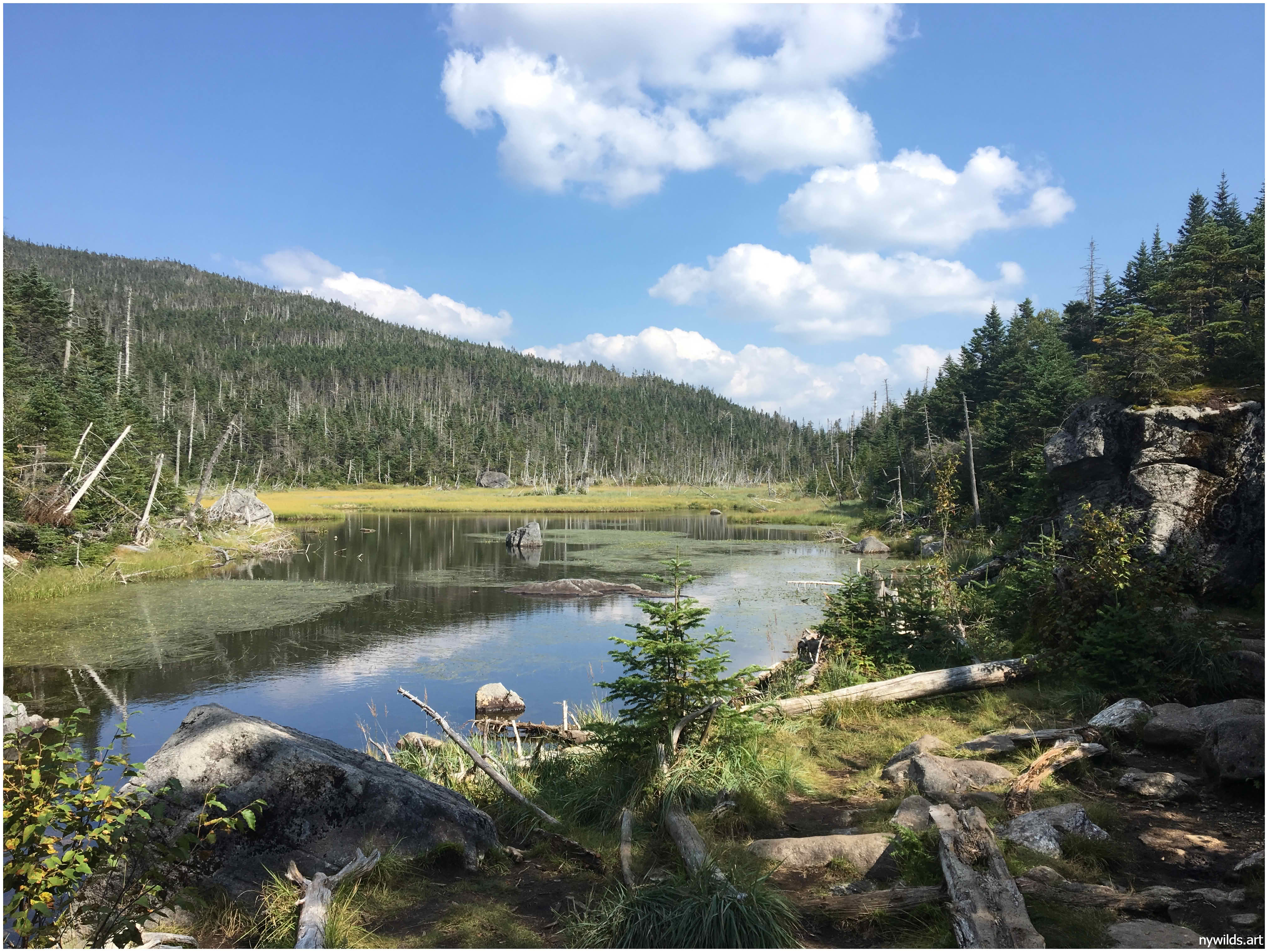 A second look across Flowed Lands in late summer light.