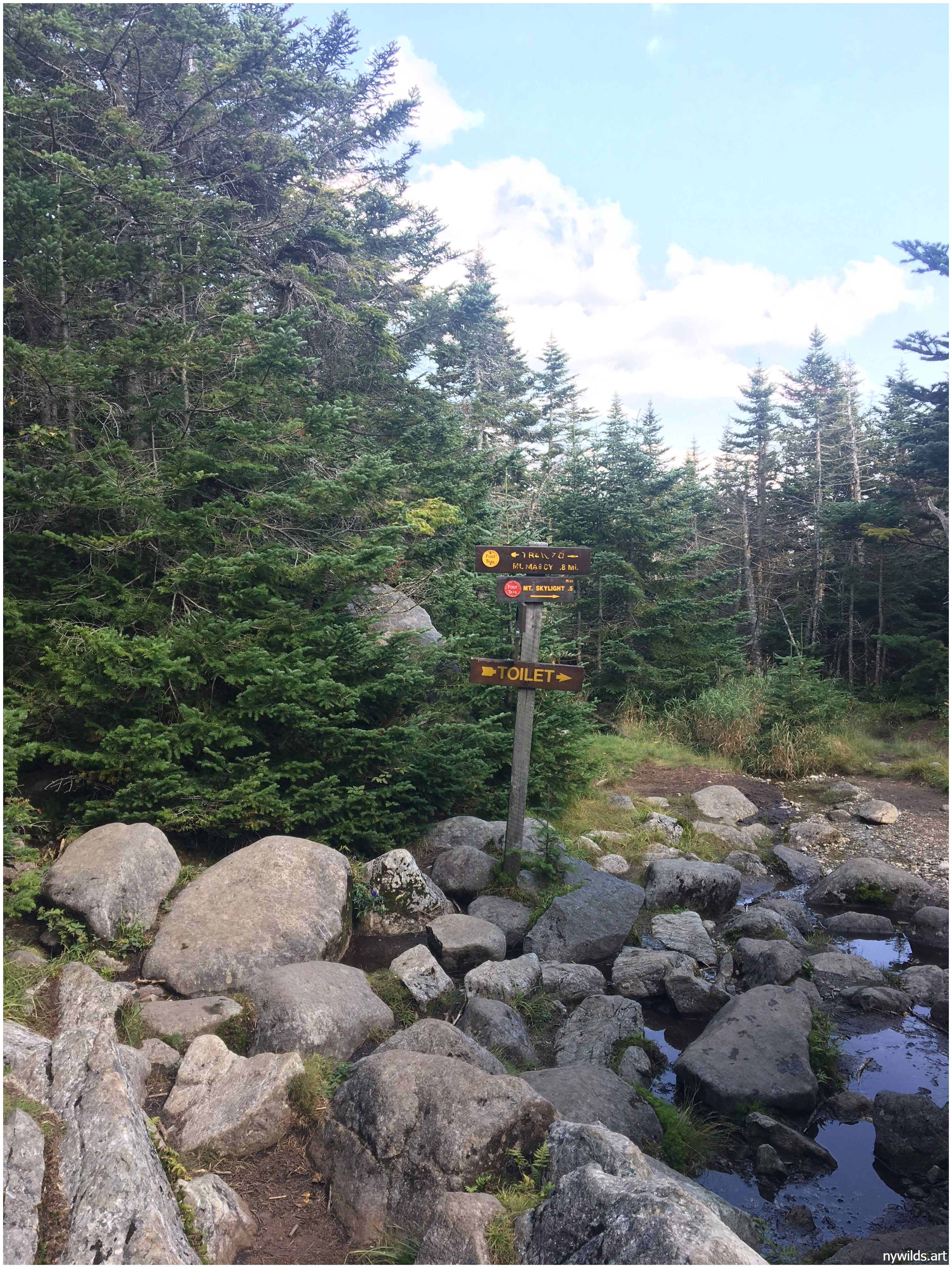 Trail junction near the final push to Skylight.