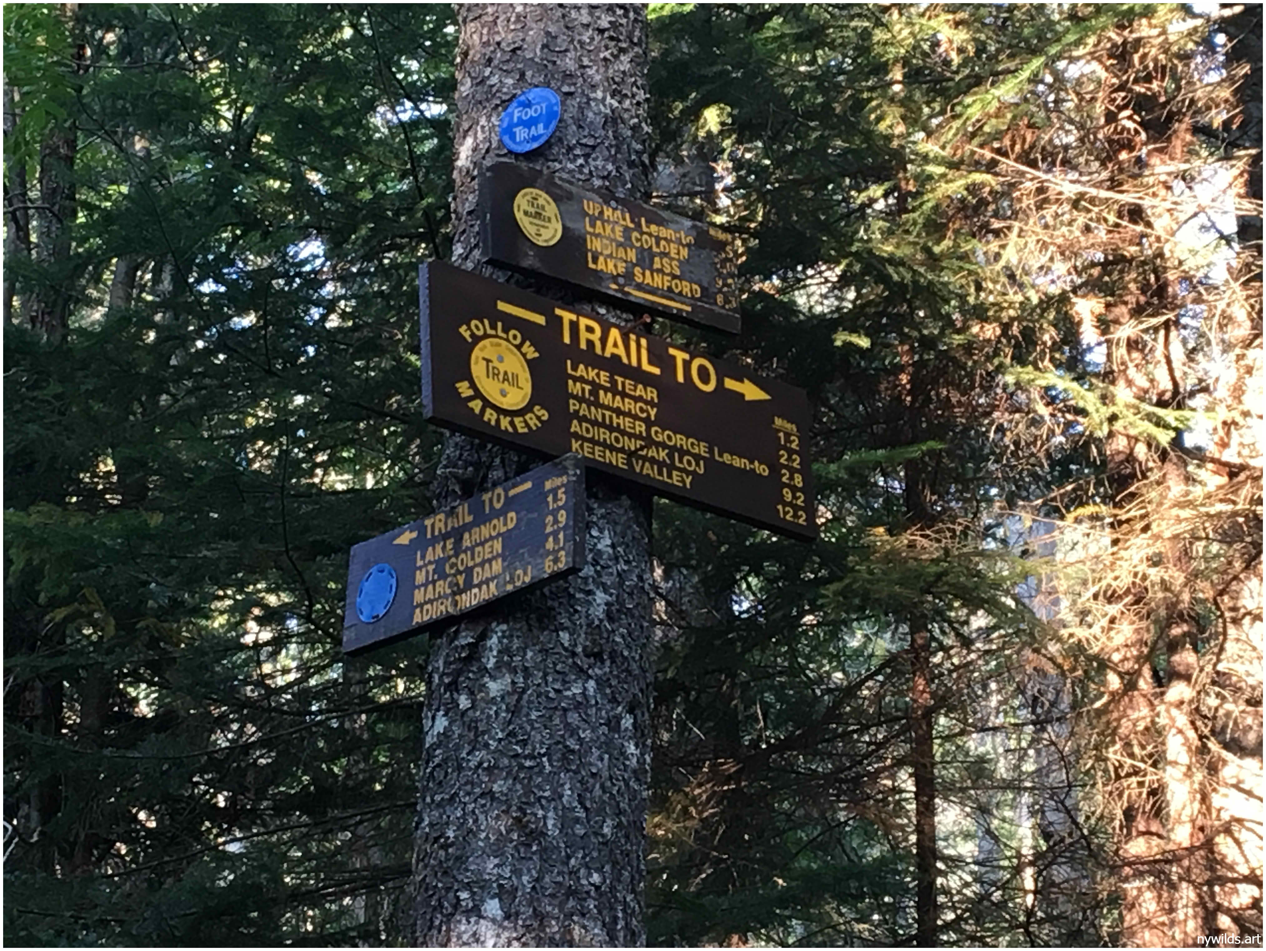 High-country junction between Skylight and Marcy.