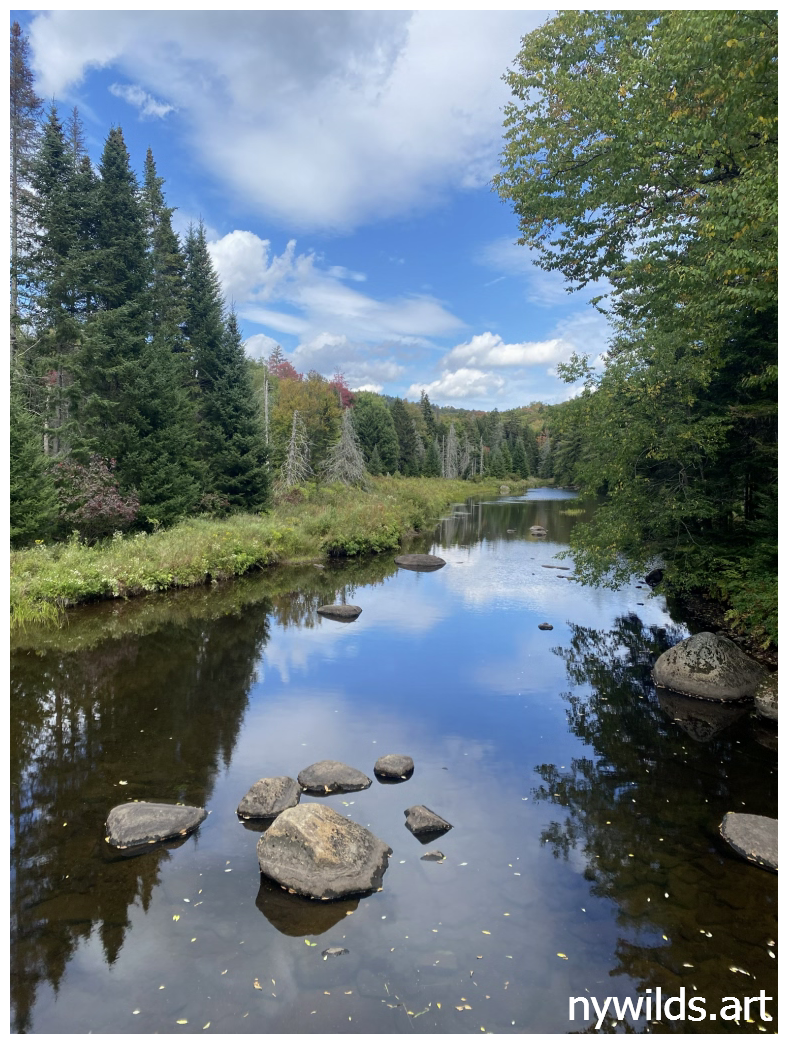 Looking upstream from the suspension bridge over the Sacandaga River