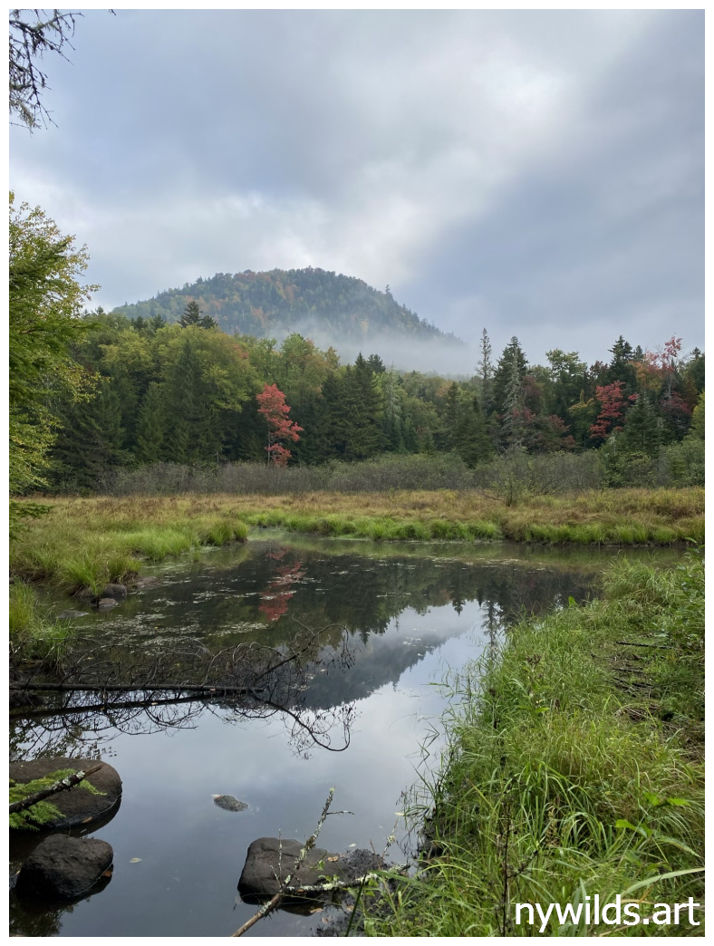 A feeder stream opening toward a notched hill above the river corridor
