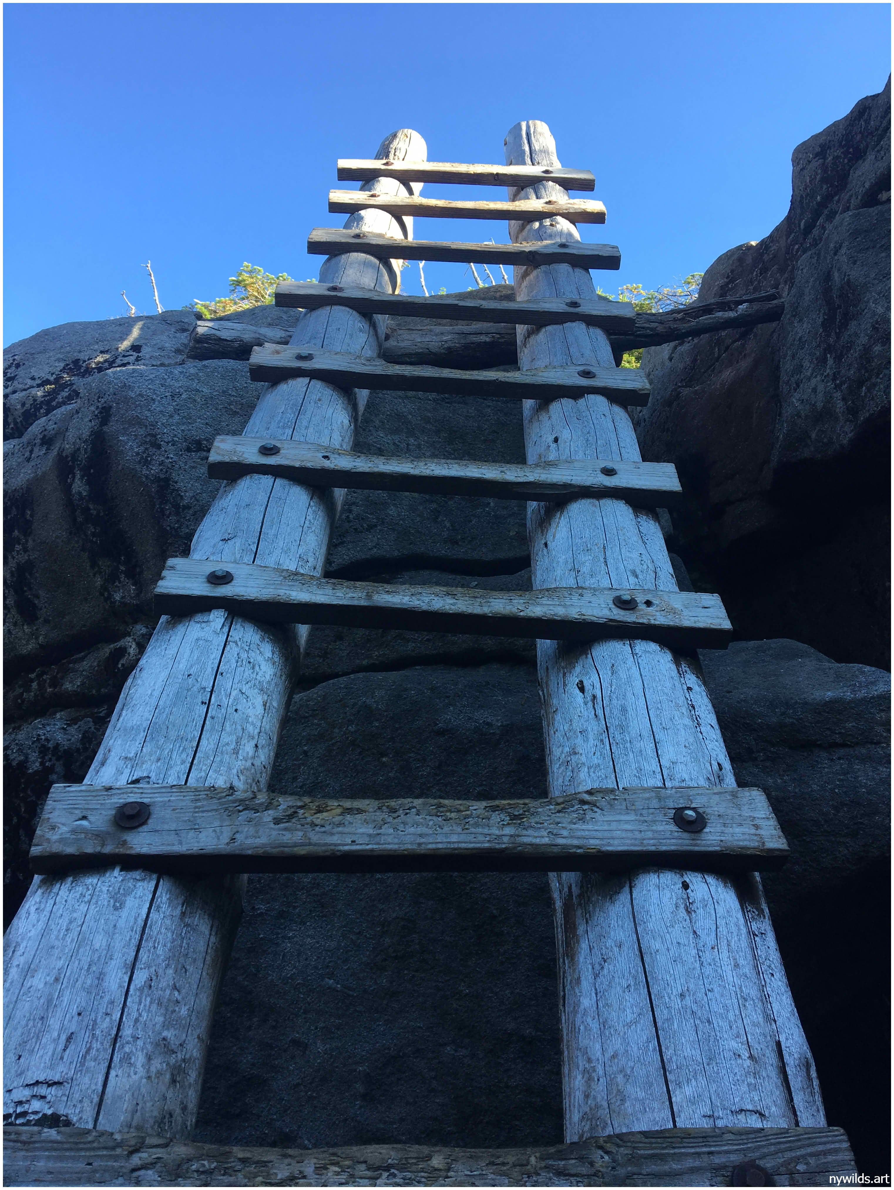Ladder near the top of a steep section on the way up Mount Colden.