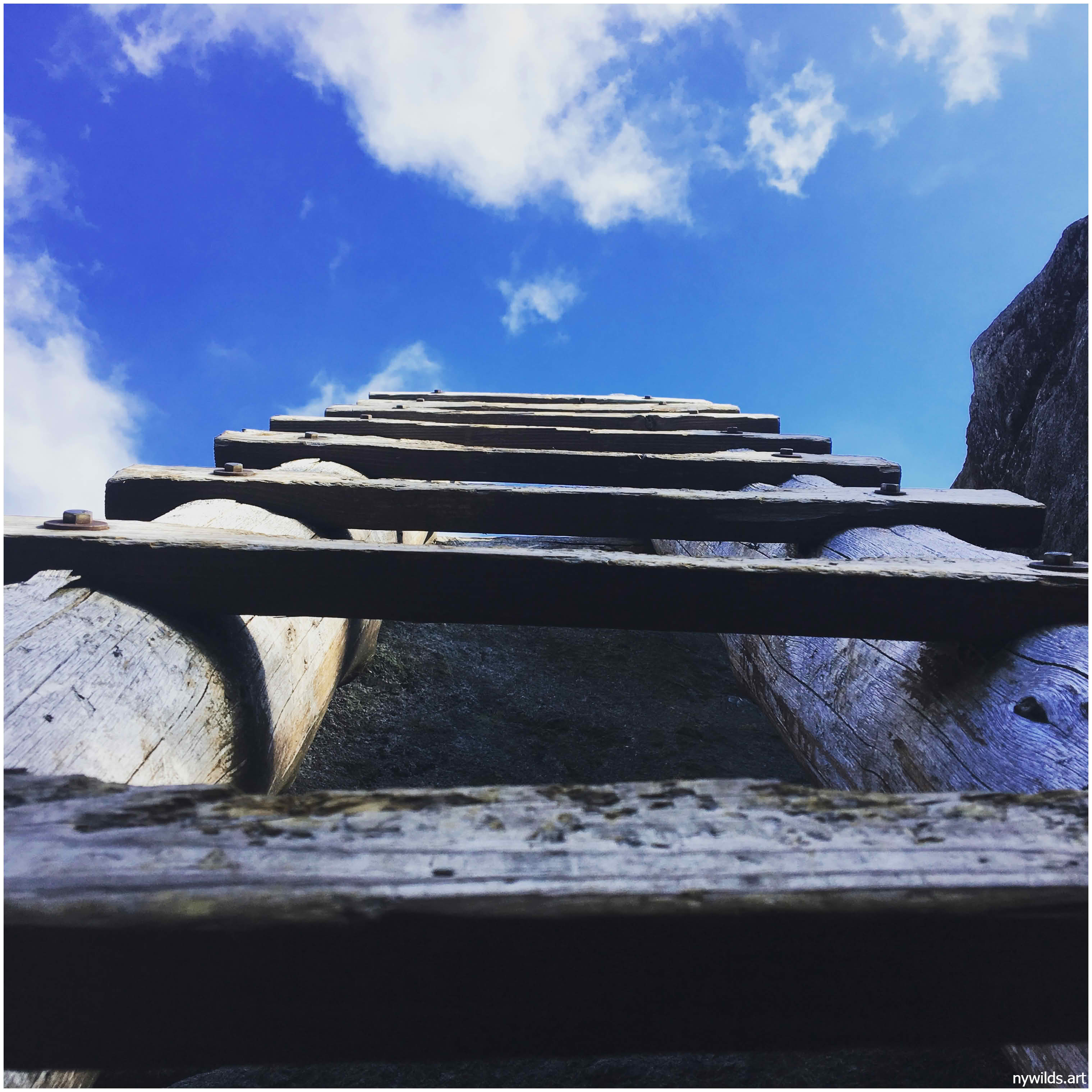 Another ladder section on Mount Colden.