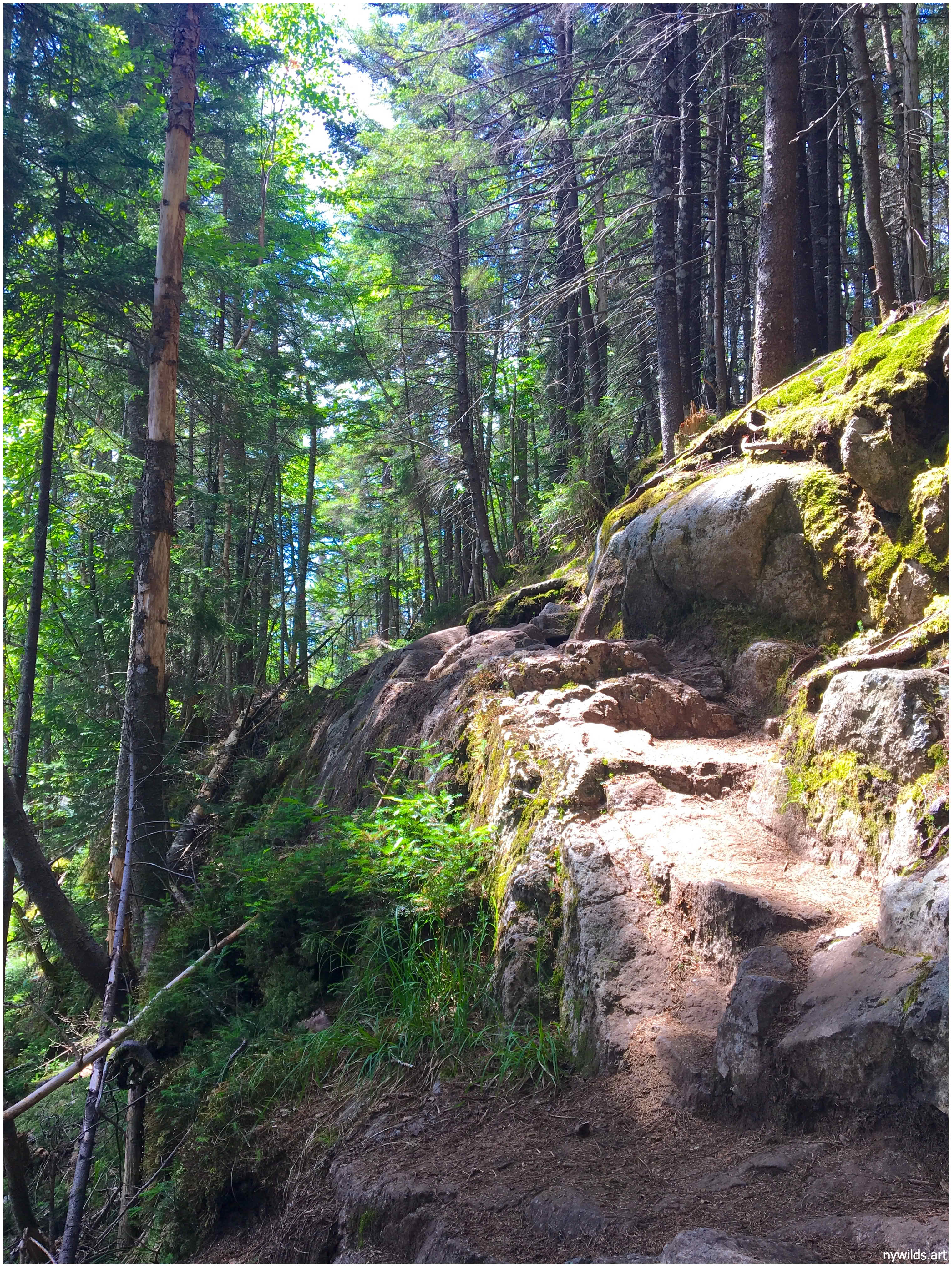 Trail between Flowed Lands and Lake Colden.