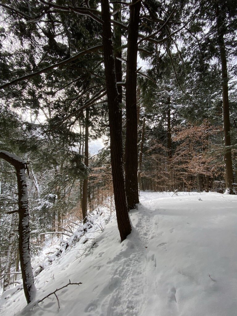 Exploring Morgan Hill: A Winter Hike Adventure